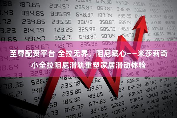 至尊配资平台 全拉无界，阻尼藏心——米莎莉奇小全拉阻尼滑轨重塑家居滑动体验