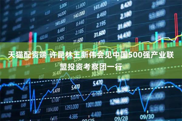 天猫配资端 许昆林王新伟会见中国500强产业联盟投资考察团一行