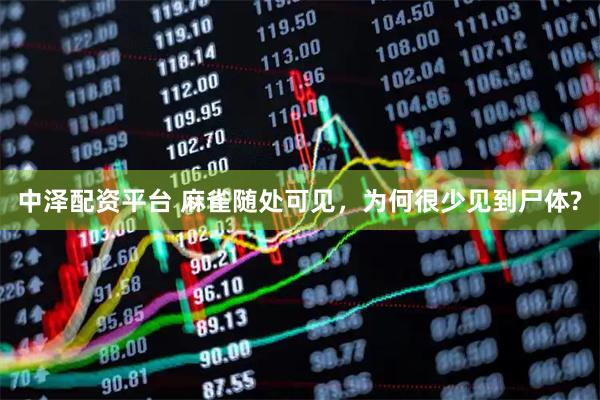 中泽配资平台 麻雀随处可见，为何很少见到尸体?