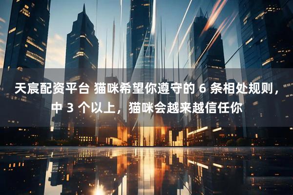天宸配资平台 猫咪希望你遵守的 6 条相处规则，中 3 个以上，猫咪会越来越信任你
